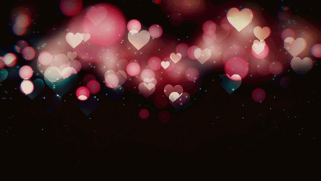 Happy Valentines Day GIF